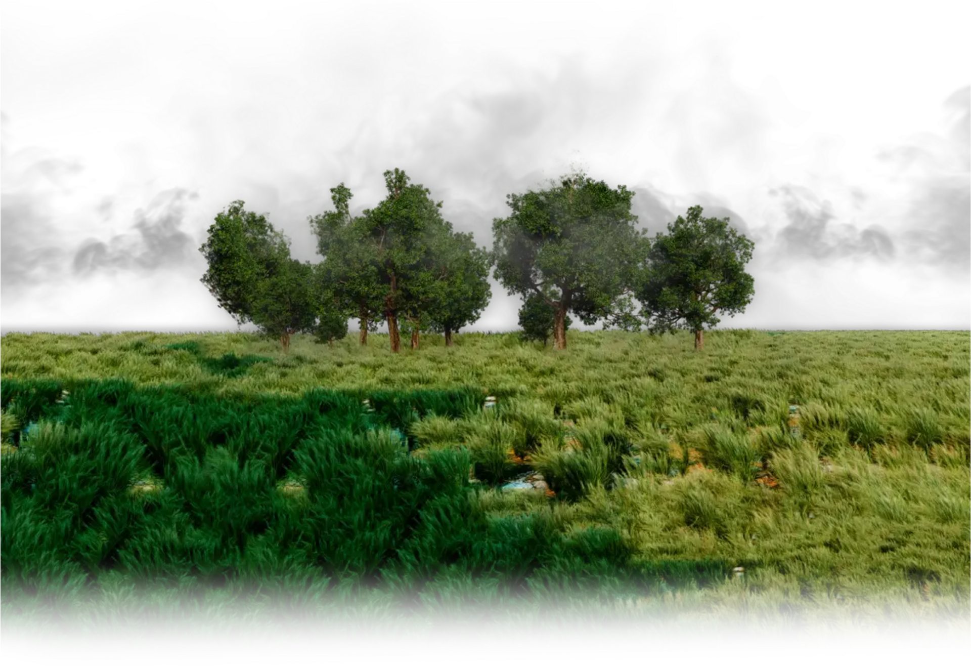 Titelbild massivholztisch.online